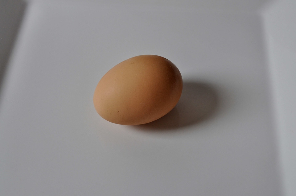 Chicken close close-up