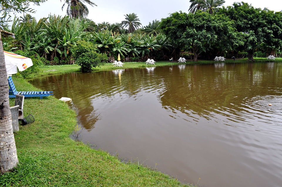 Garden lake plastic