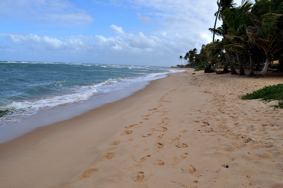Lumber sand strand