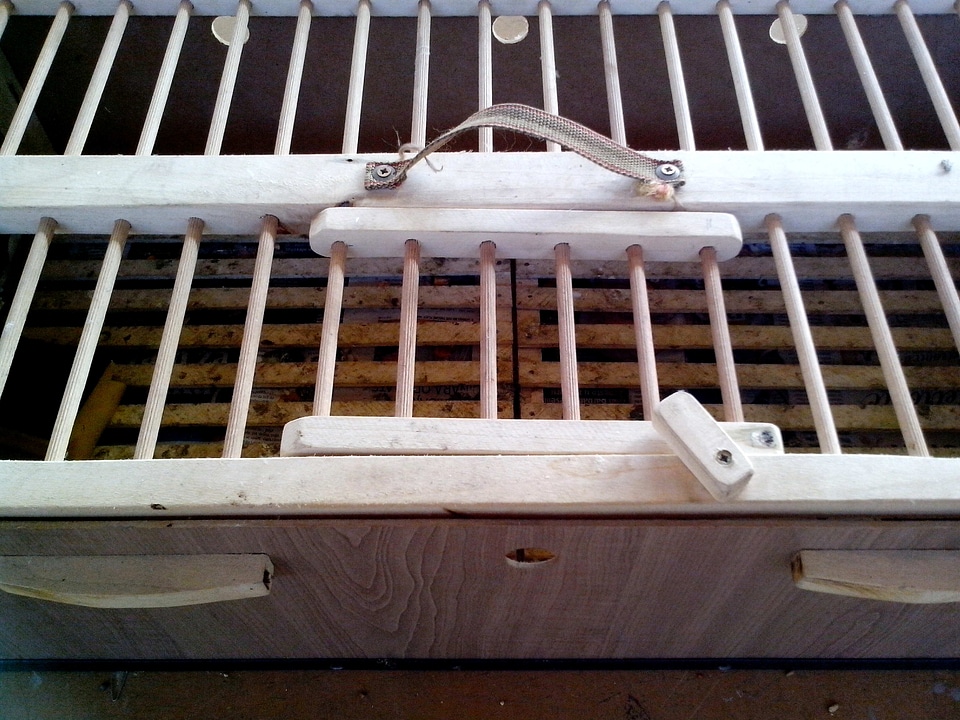 Cage carriage little