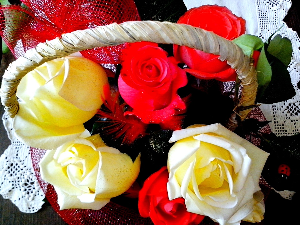 Basket flora flower