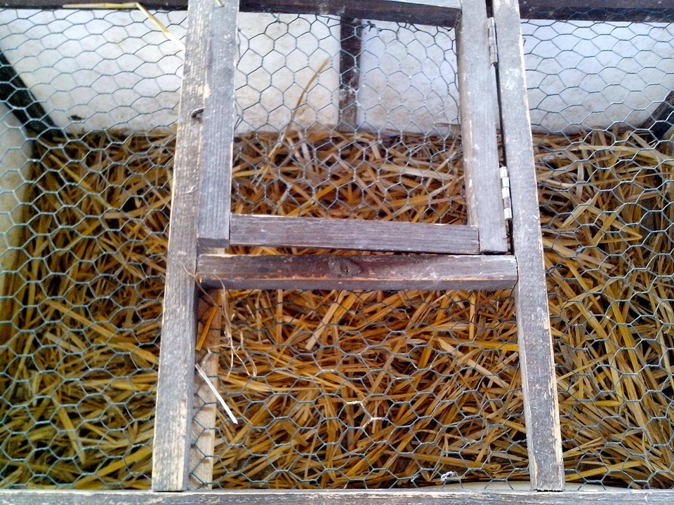 Bird cage carriage