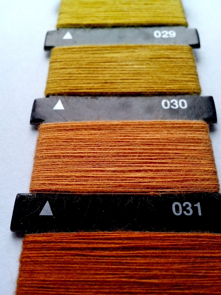 Machine phylum sewing