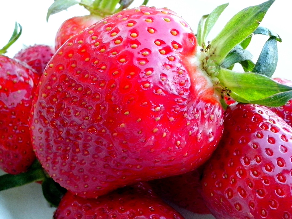Beautiful Photo fruit 