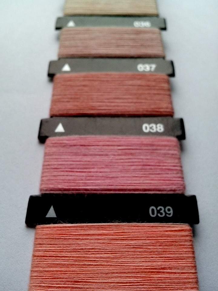 Machine phylum pink