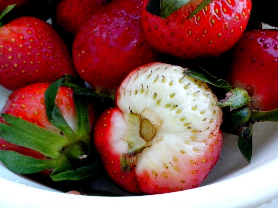 Beautiful Photo bowl fruit