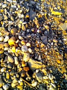 Pebbles phylum structure