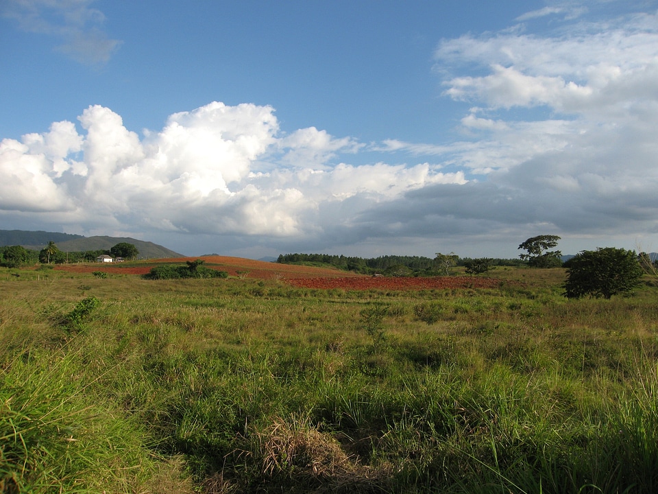 Red earth landscape cuba
