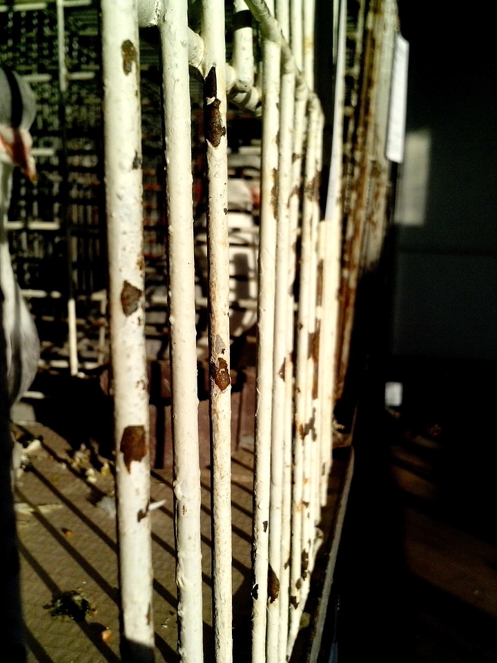 Cage grille metal