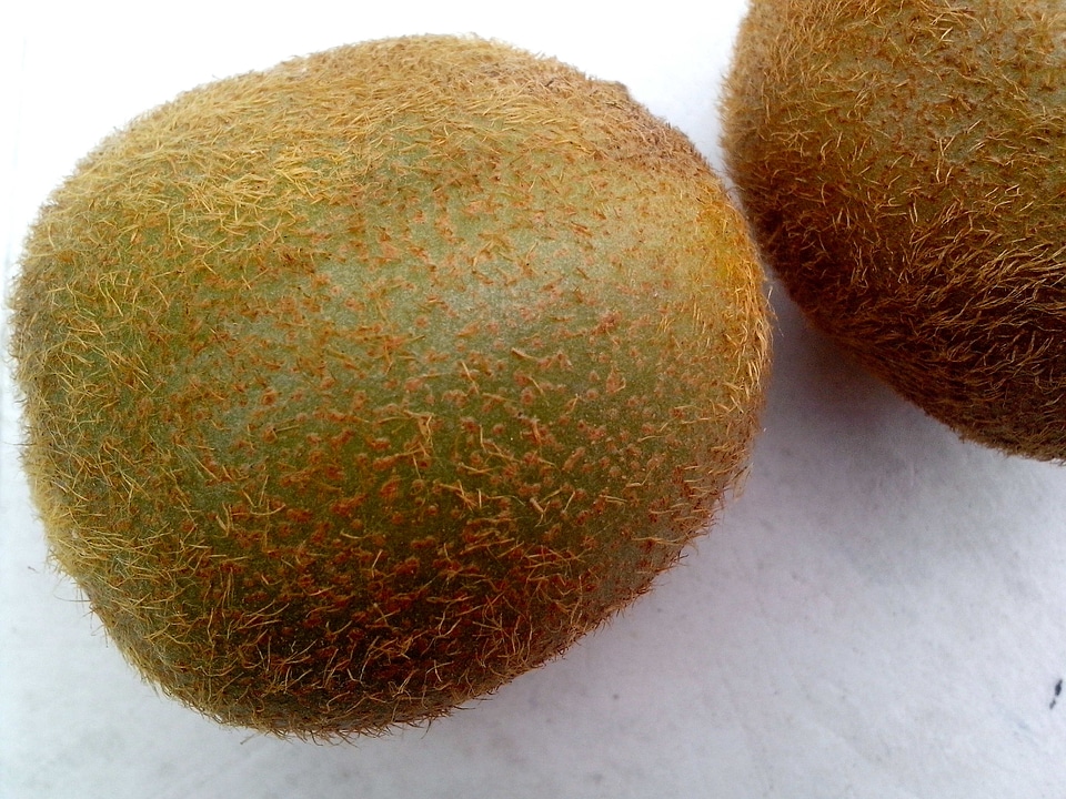 Background fruit white