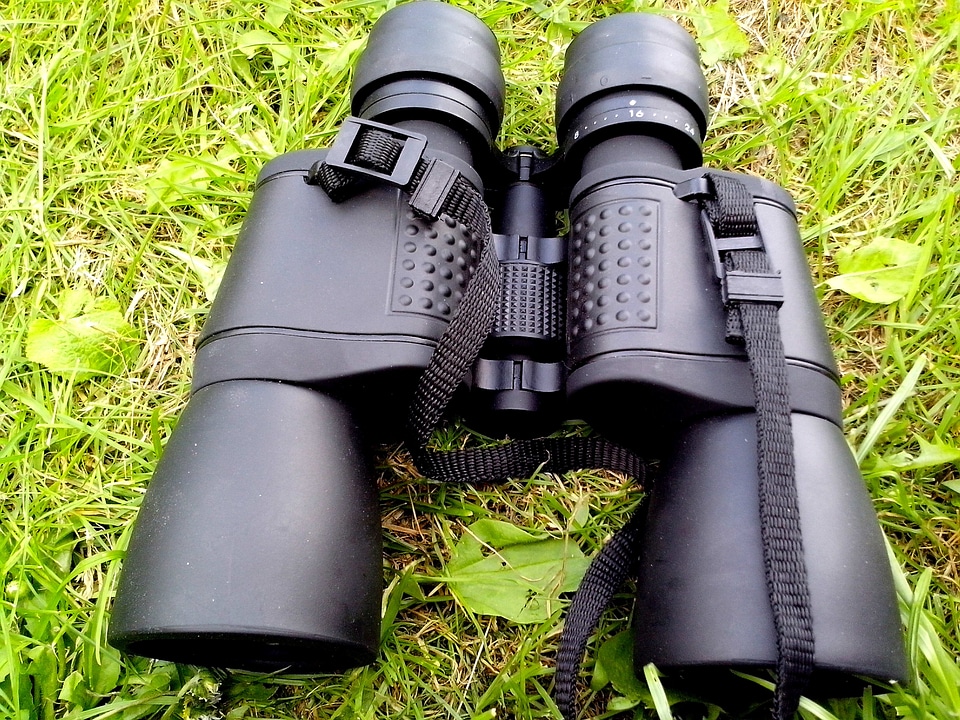 Beautiful Photo binoculars hunt