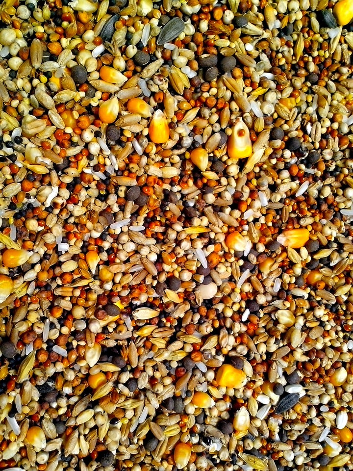 Detailed image 
