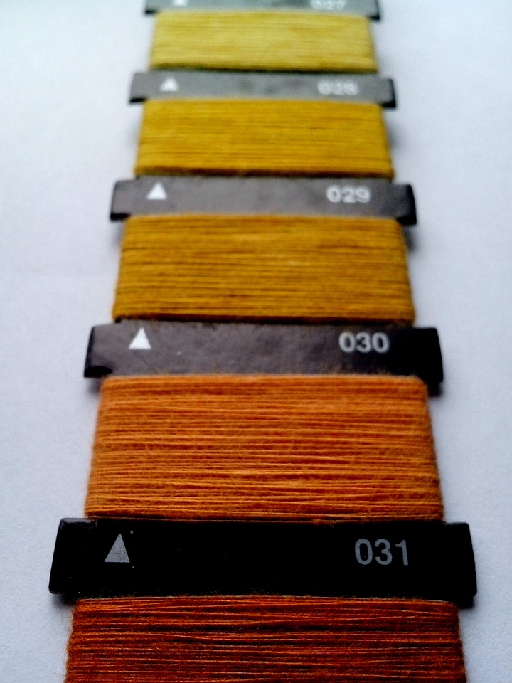 Machine orange phylum