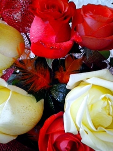 Basket blossoming flowers
