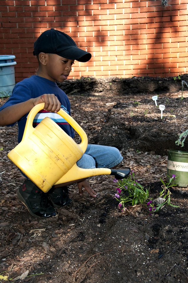 African american flowers