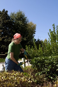 Gardening labor woman photo