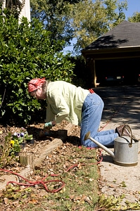 Dipper gardening hand photo