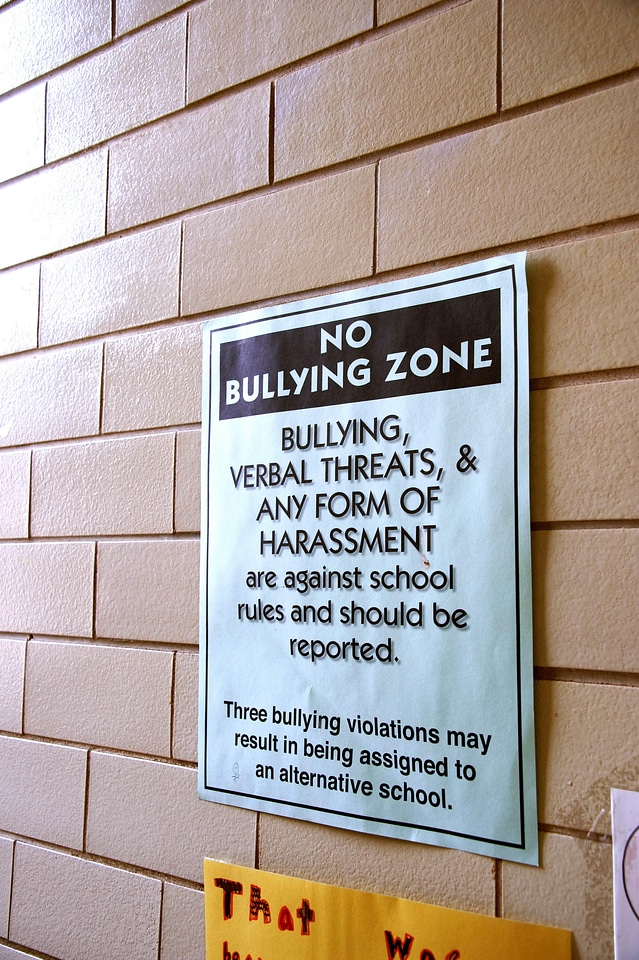 Area bullying shield