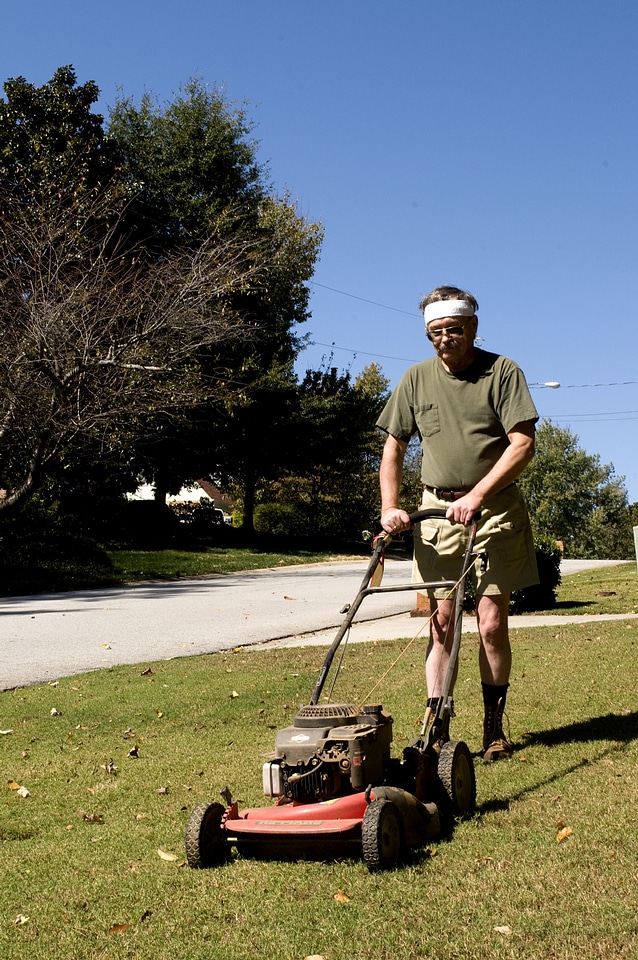 Brow grass plants husband
