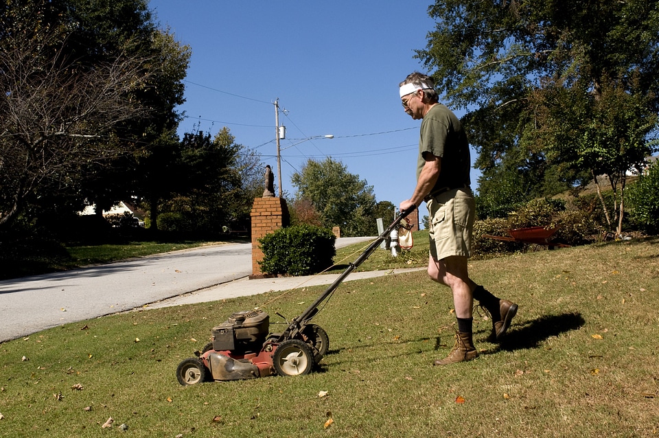 Brow gardening grass plants