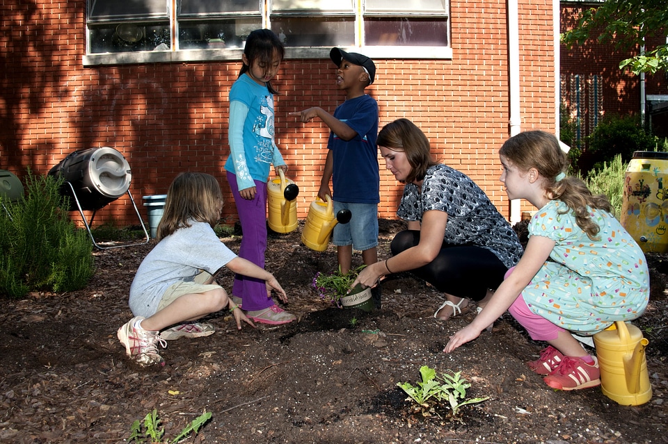 Babies fresh gardening