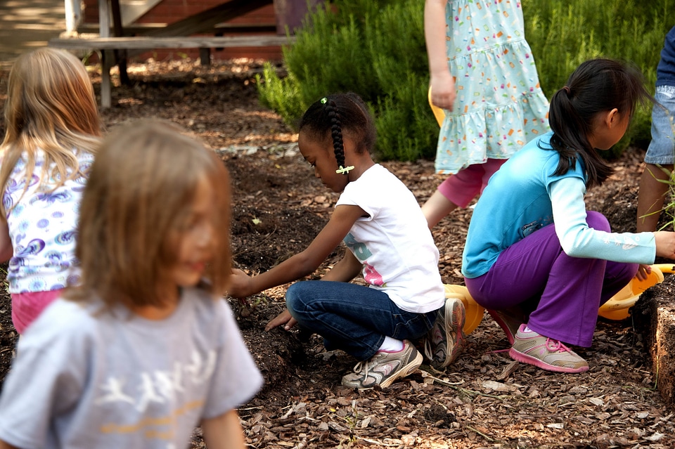Enjoy gardening great