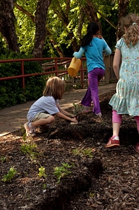 Cute gardening genus