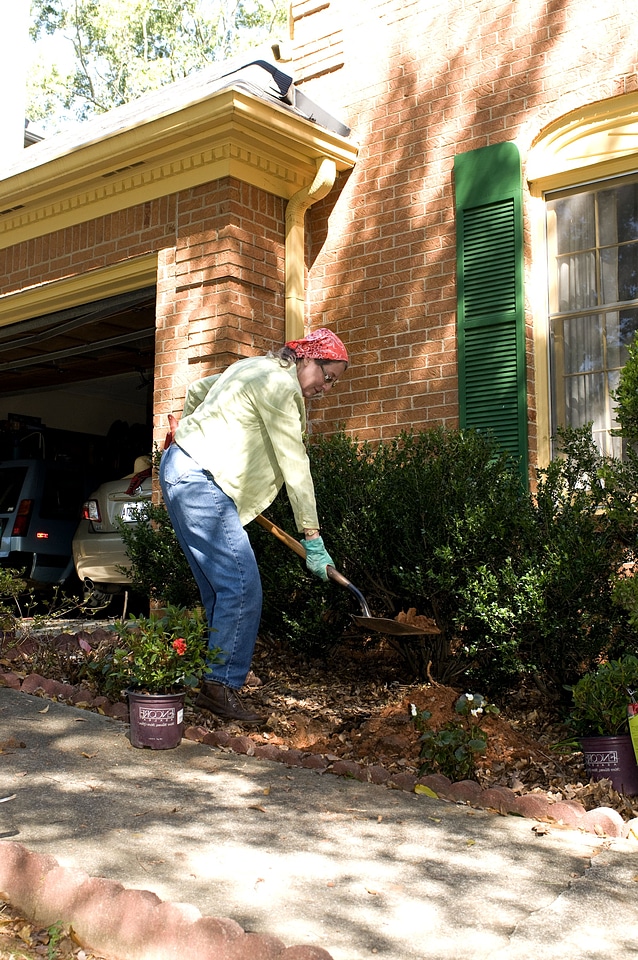Bore gardening little