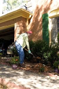 Bore gardening little