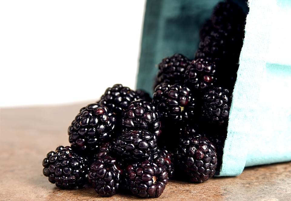 Berries close close-up