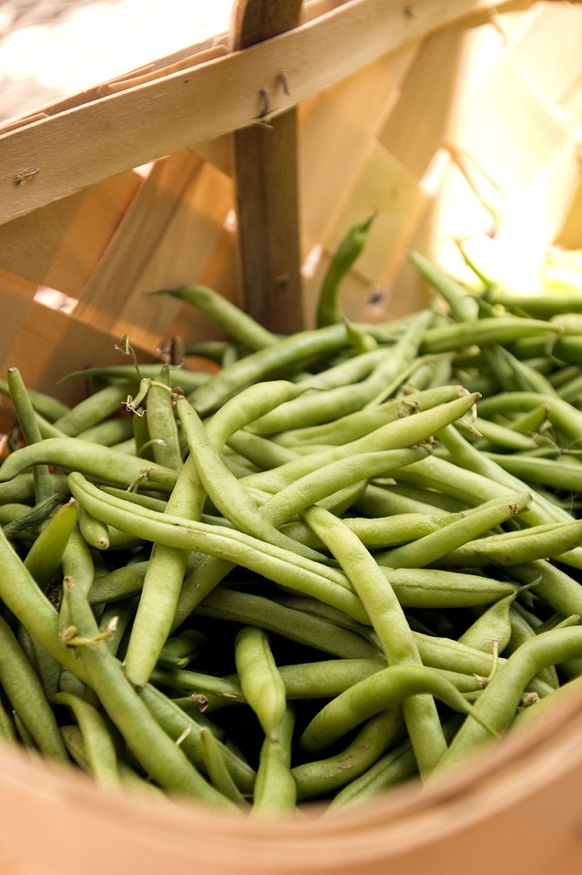 Basket beans close