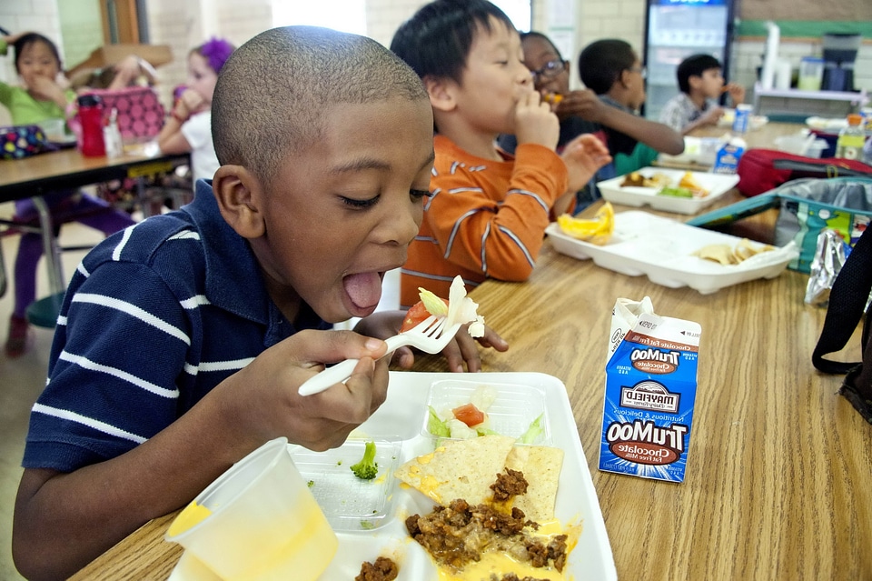 Boy broccoli lunch