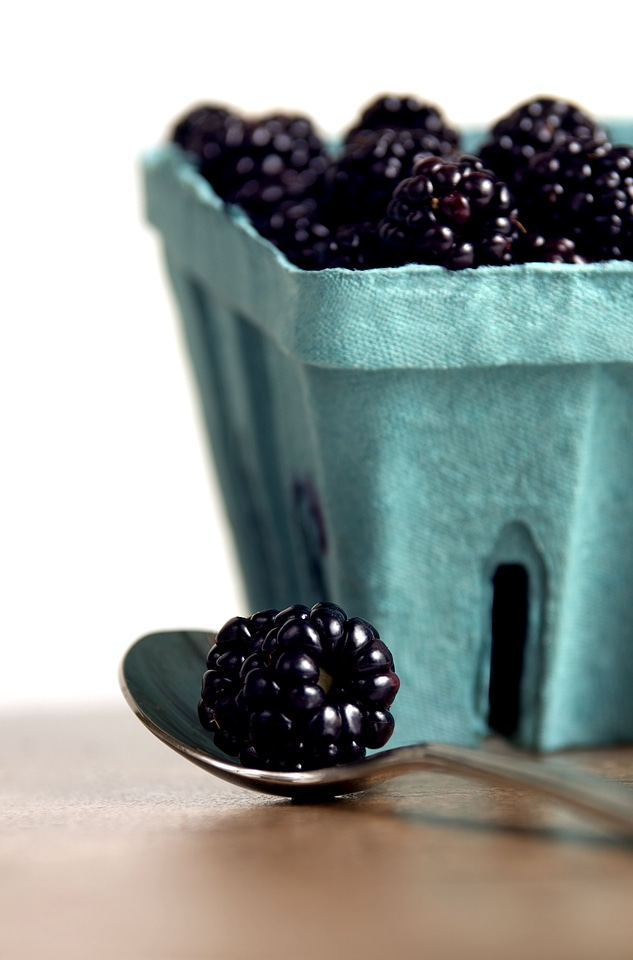 Berries berry brow