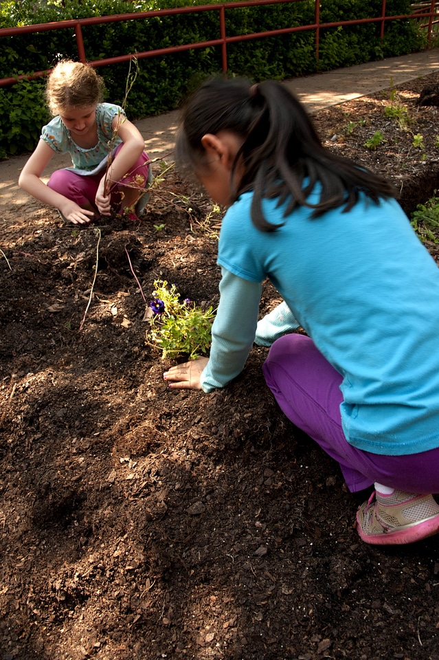 American Asian female child