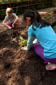 American Asian female child