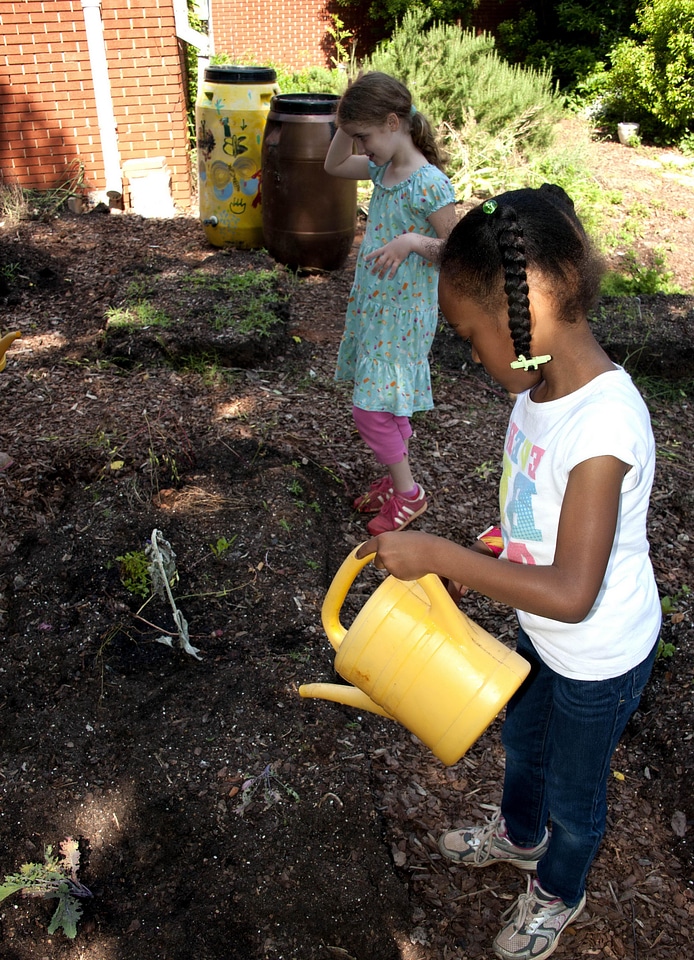 African american garden