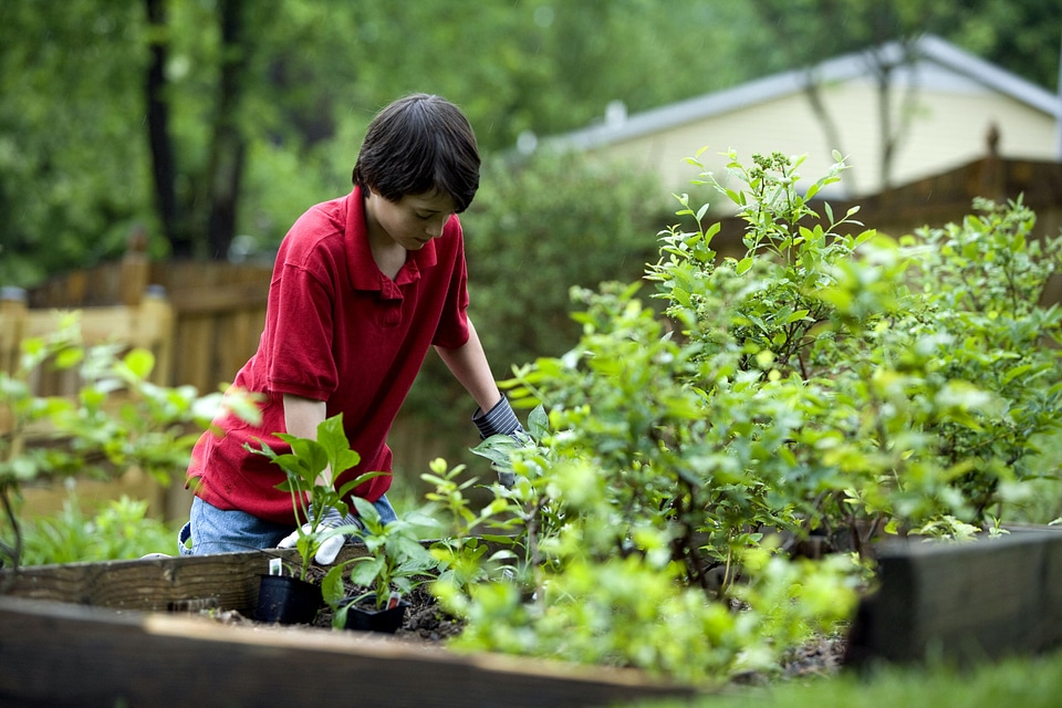 Boy gardening outdoor