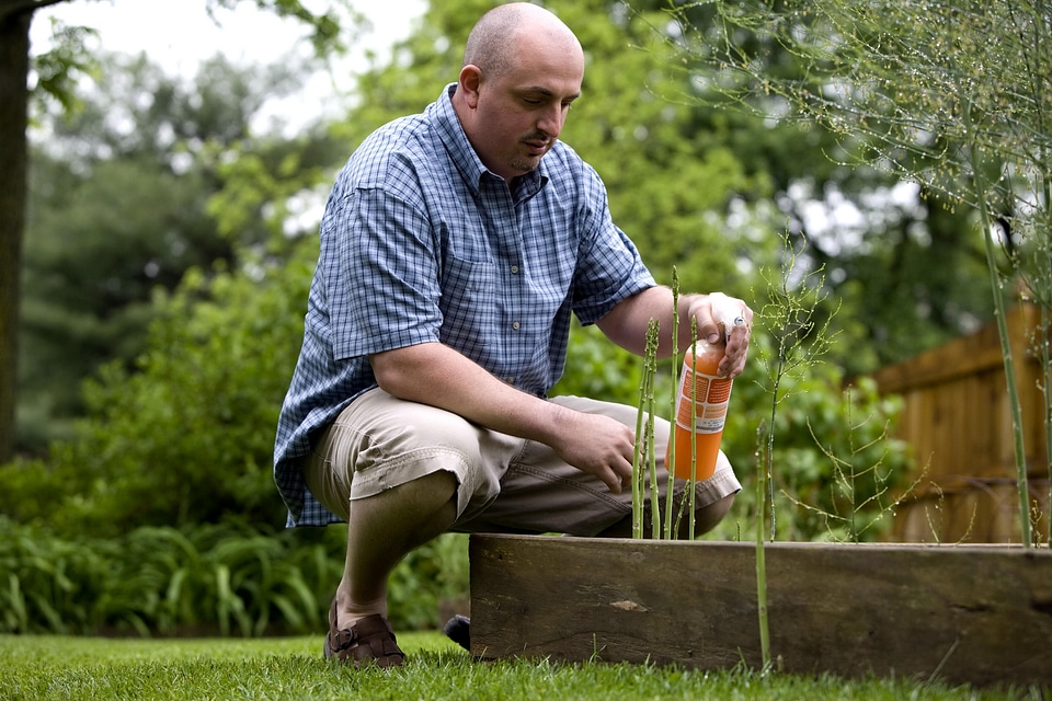 Enjoy gardening husband