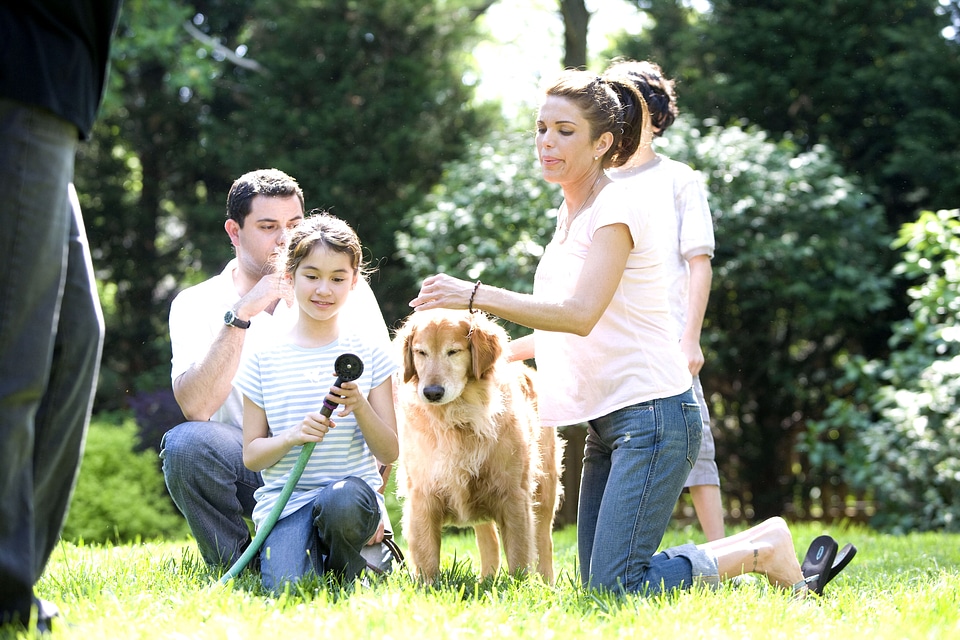 Enjoy family outdoor