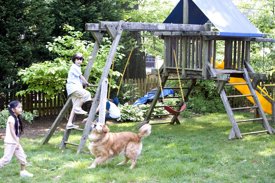 Babies cute playground