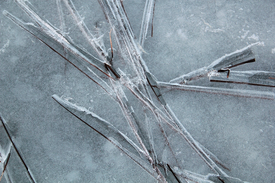 Winter isformation plant