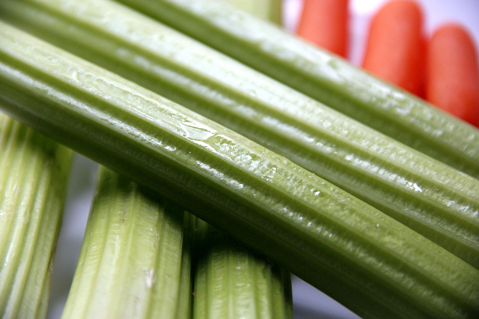 Baby background celery