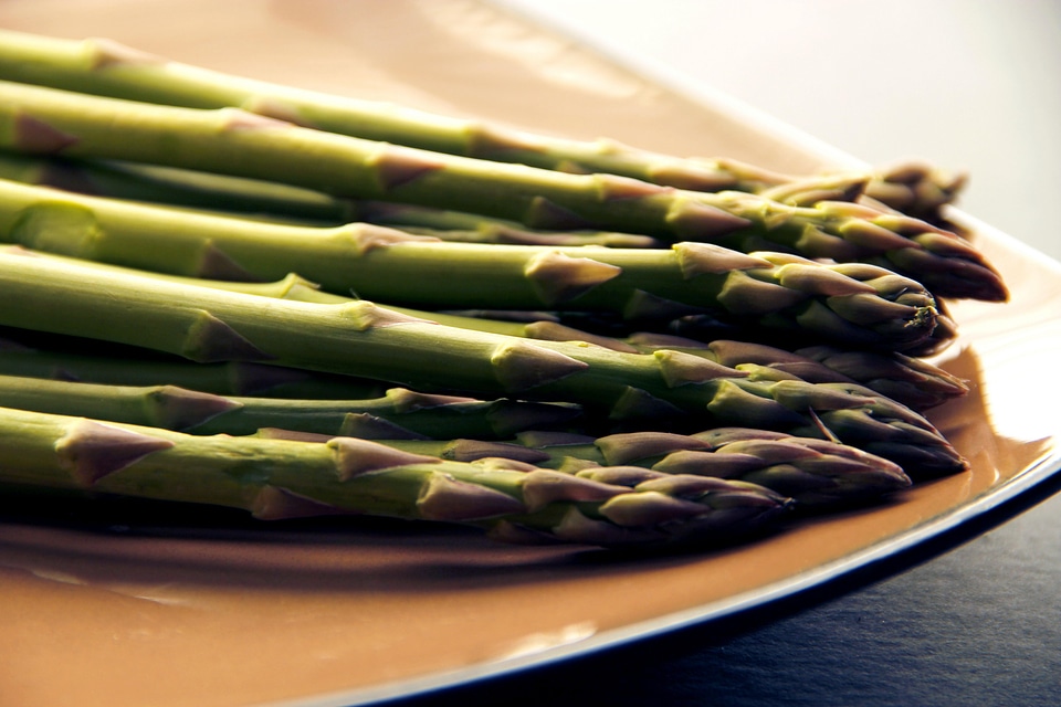 Asparagus greenery 