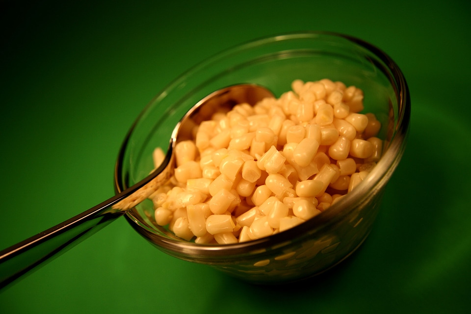 Corn important resource