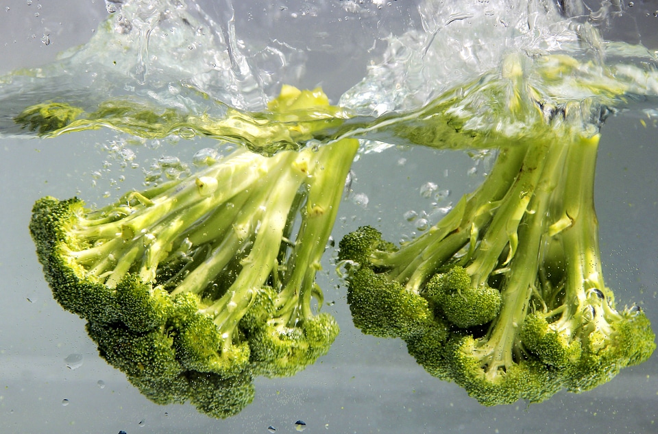 Beautiful Photo broccoli diet