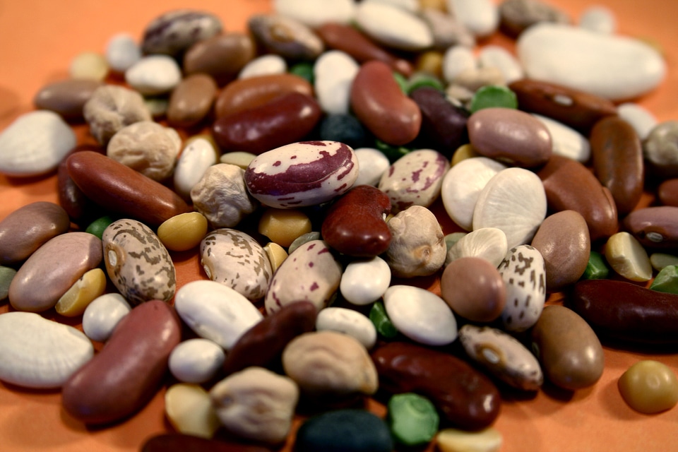 Beans close close-up