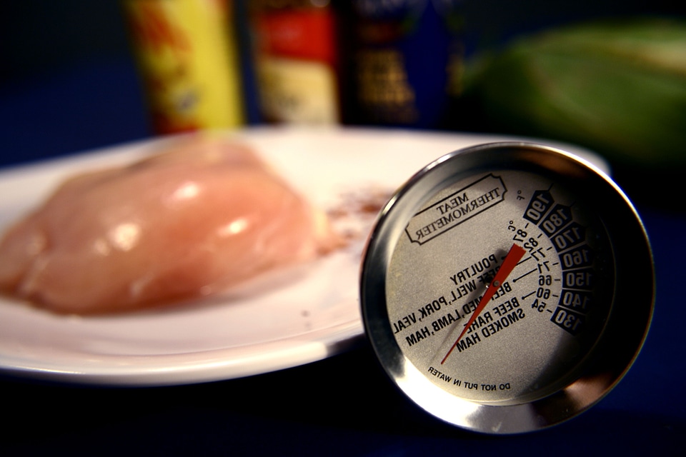 Breast chicken flesh