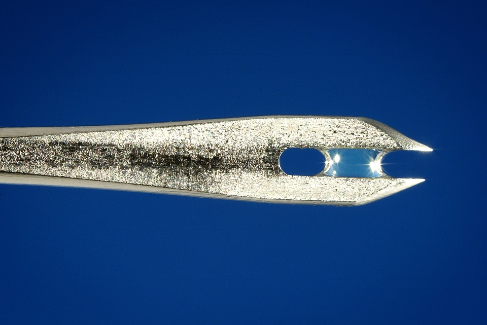 Bifurcated Needle close close-up