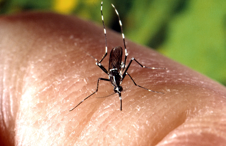 Close close-up feed