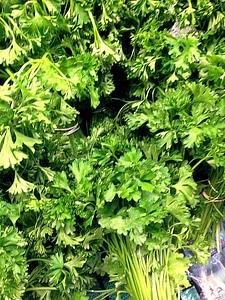 Fresh shopping vegetable